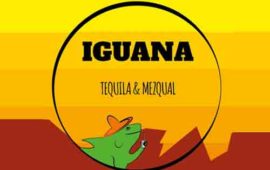 iguana iguana